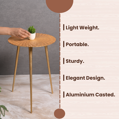 Greetwood Gold Aster Aluminum Side Table for Living Room Decor