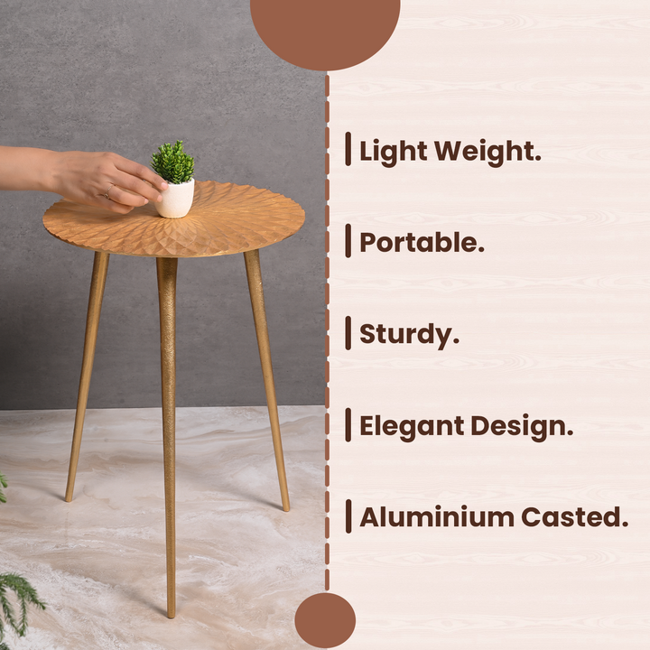 Greetwood Gold Aster Aluminum Side Table for Living Room Decor